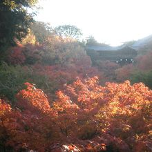 通天橋から東福寺を見る。