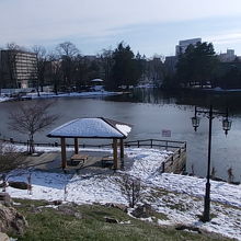 天文台からの風景