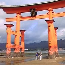 潮が引いたら鳥居下へ