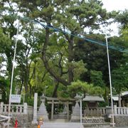 宗像神社〔神社〕