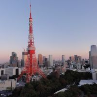 客室ベランダからの眺望