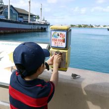 魚のえさ ２５セント 