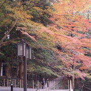 日本画に興味のある方はぜひ