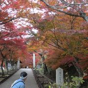 紅葉で有名なお寺