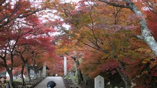 紅葉で有名なお寺