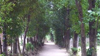 のんびり散策♪