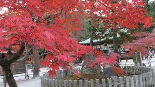 今宮神社を参拝したらあぶり餅♪