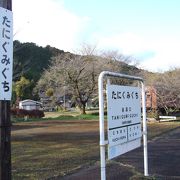 華厳寺への最寄り駅