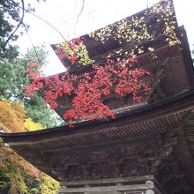 紅葉の三重塔
