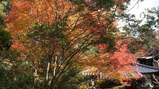 ☆東福寺駅から徒歩１０分　大石内蔵助と深い関係のある　泉涌寺　山内寺院　『来迎院』☆