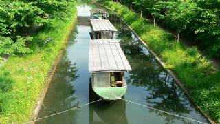 伏見の濠川（宇治川派流）の遊覧船、十石舟 