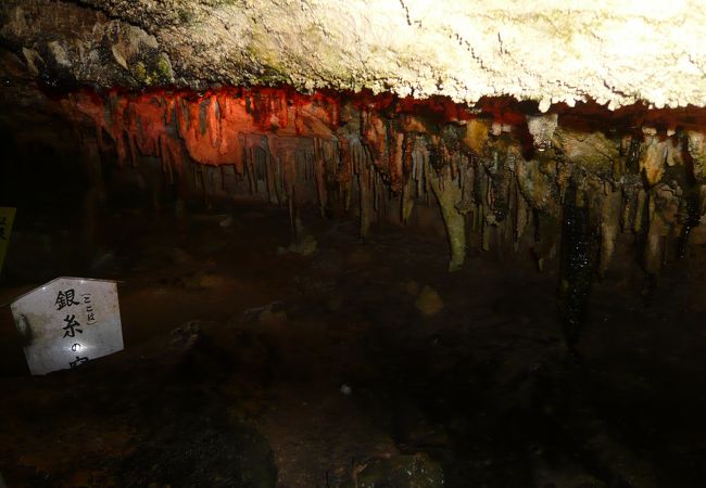 面不動鍾乳洞 クチコミ アクセス 営業時間 洞川温泉 大峰山 天川 フォートラベル 面不動鍾乳洞 クチコミ アクセス 営業時間 洞川温泉 大峰山 天川 フォートラベル