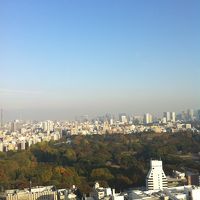 新宿御苑を見下ろす