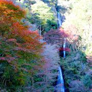 宮本武蔵ゆかりの絶景「五宝滝」♪