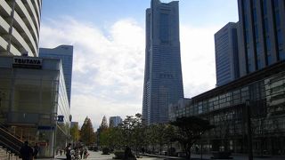 見てもよし、入ってもヨシ、登ってもヨシ。