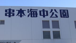 和歌山　串本海中公園にて　たくさんの海の生物を見た！