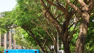 細かいところまで行けるバスはやはりおススメ。