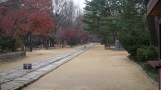 ”一本道に感動”