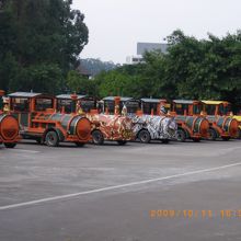 サファリパーク内はこの汽車型の車で見て回ります。