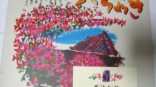 石垣島で美味しいパイナップルケーキが買える！