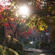 四季折々の景色が期待できる東行庵