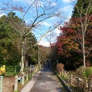 哲学しながらのんびりお散歩