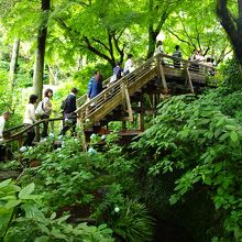 時期のためか、行列が発生していました