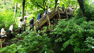 「あじさい寺」と呼ばれる花の名所