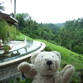 Viceroy Bali：テラスからの眺め最高でした！