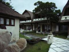 アリ ビーチ バンガロー 写真