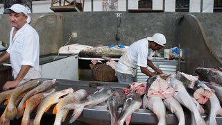 ヴェロペーゾ市場