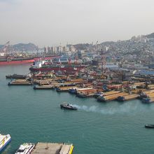 屋上から見える港側