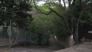 可愛い名前の森の小径　ささやきの小径