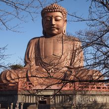 それなりに輝いています