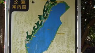 けっこう広いです