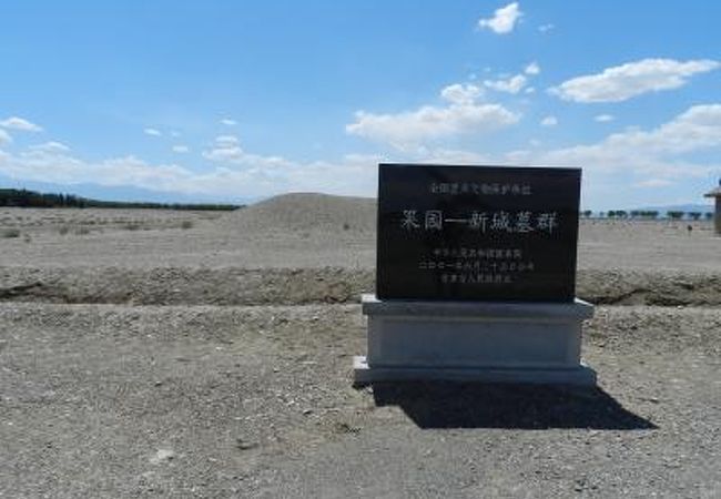 鞏義芝田晉唐墓葬 鞏義芝田晋唐墓葬』 鄭州市文物考古研究所 編