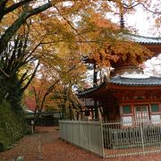 大阪の紅葉穴場「牛滝山 大威徳寺」