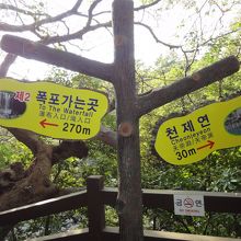 左は滝へ右は滝壺へ