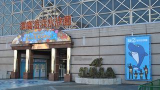 子供さんが楽しむには良いかも。