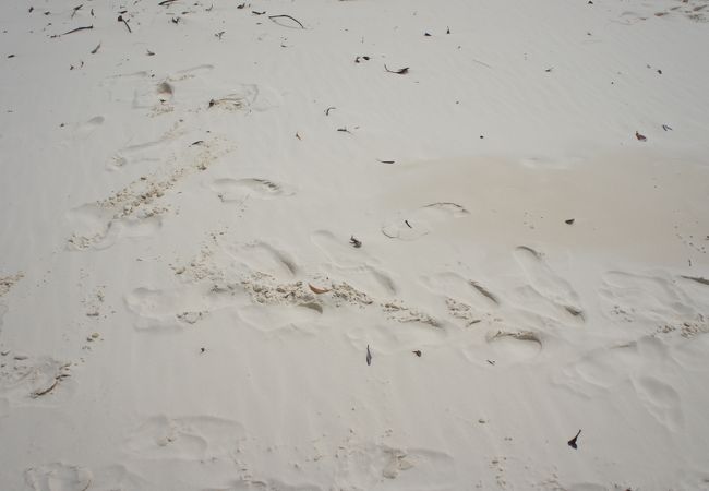 ホワイトヘブンビーチ♪　シリカサンド　鳴き砂です♪
