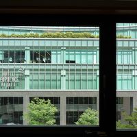 お部屋からの眺望 