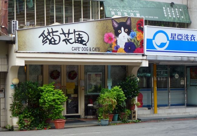 猫花園の店舗です。ＭＲＴ芝山駅の目の前です