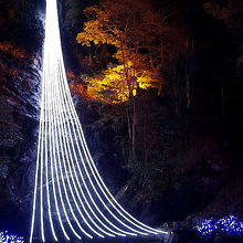 冬ほたるの象徴ともいえる琴滝にかかる13弦の光の調べ