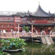 九曲橋より豫園商城を望む☆ここが一番賑やかな場所です。