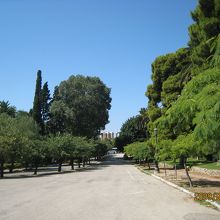 公園から見えるゼウス神殿の一部