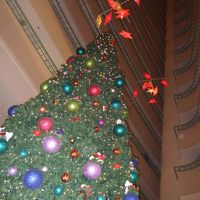 ロビーのクリスマスツリー