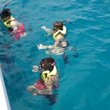 いざ、カメさんに会いにシュノーケル！