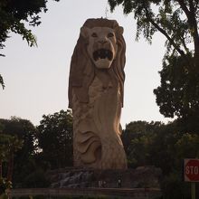 正面から。水は吐きません。