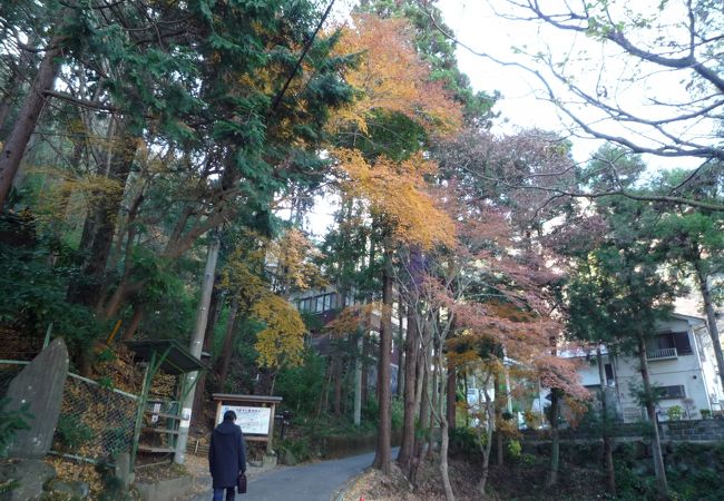 洒水の滝