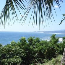 展望台から付近の景色を望む